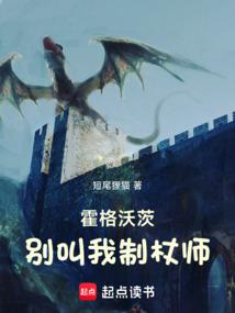 霍格沃茨:别叫我制杖师全文阅读