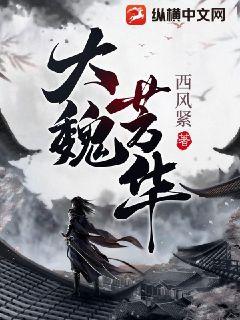 大魏芳华全文阅读