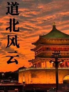 道北风云全文阅读